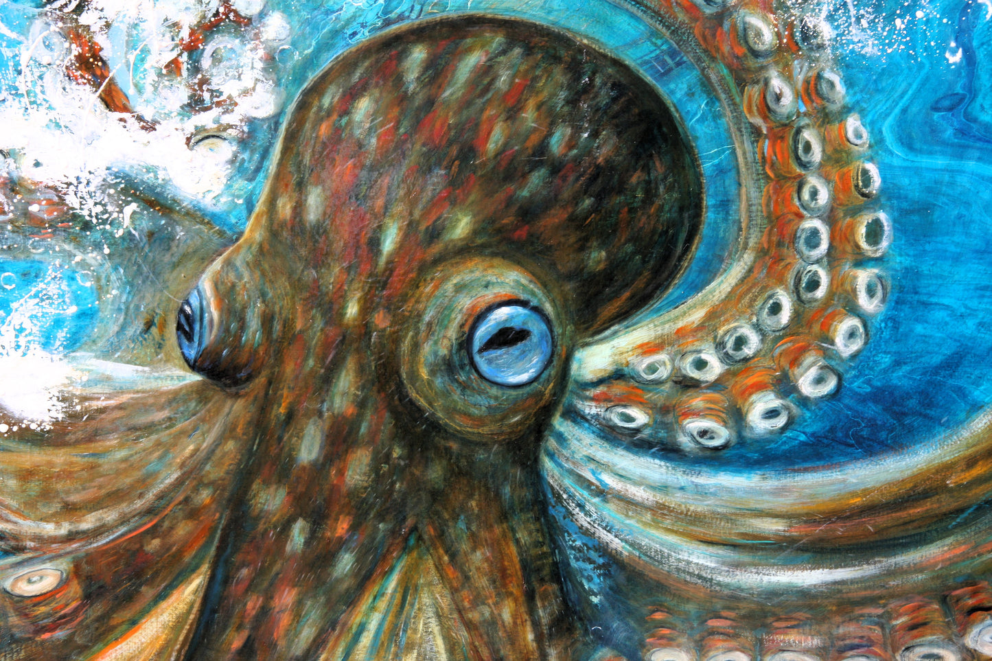 Oli the Octopus