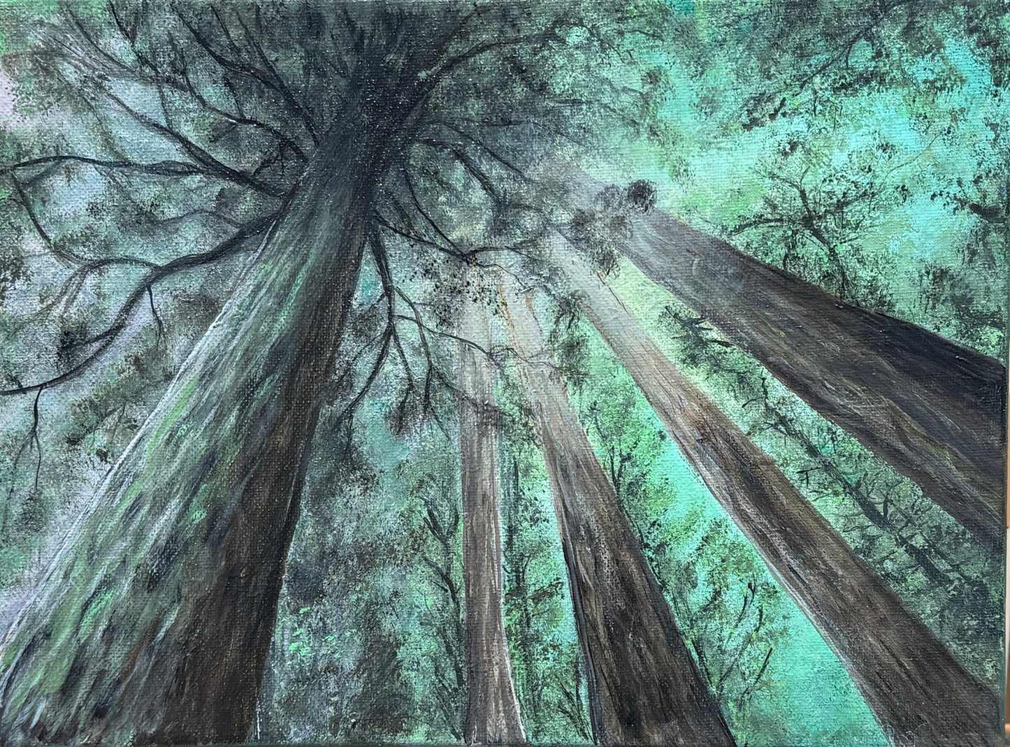 Look Up