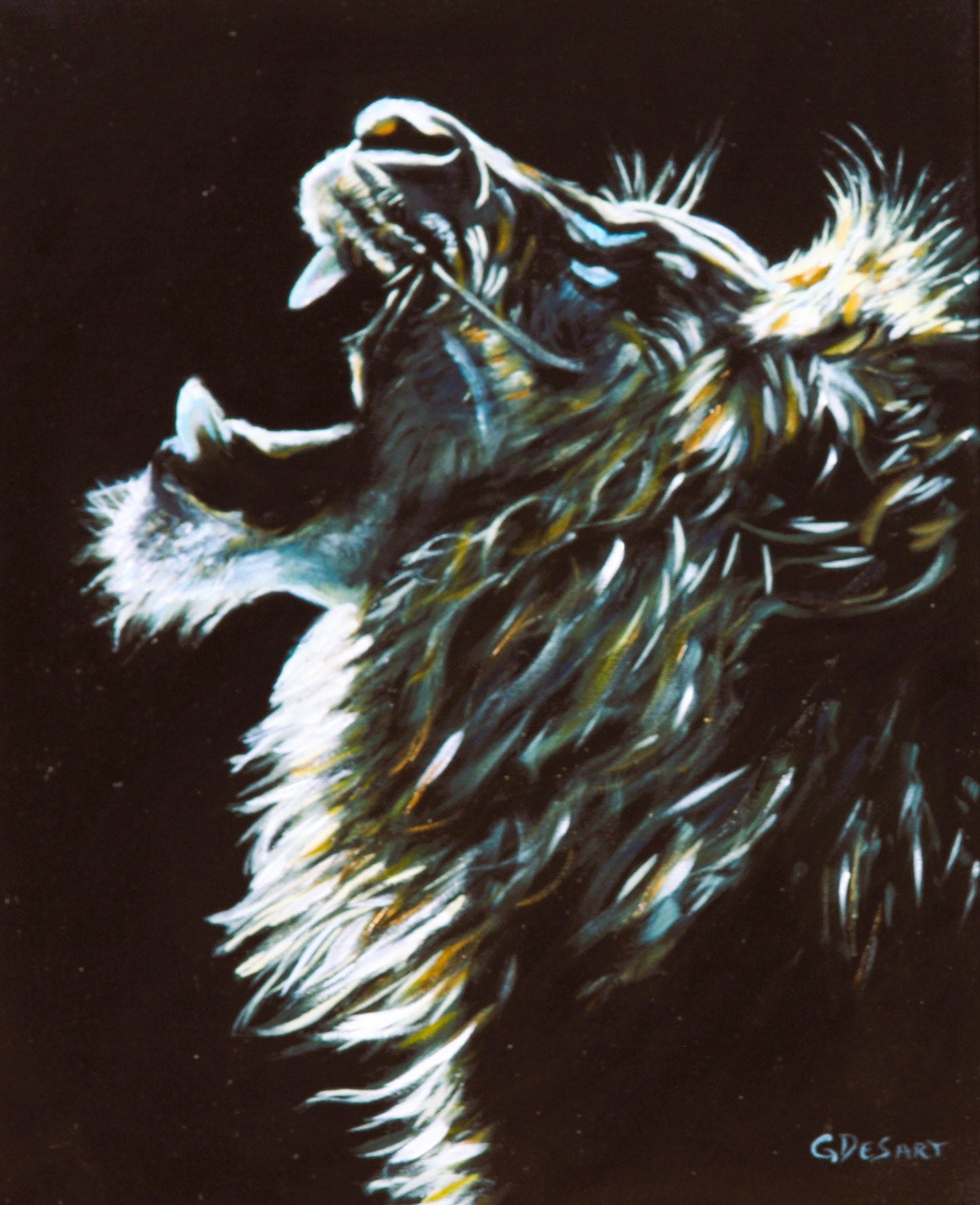 Lions Call