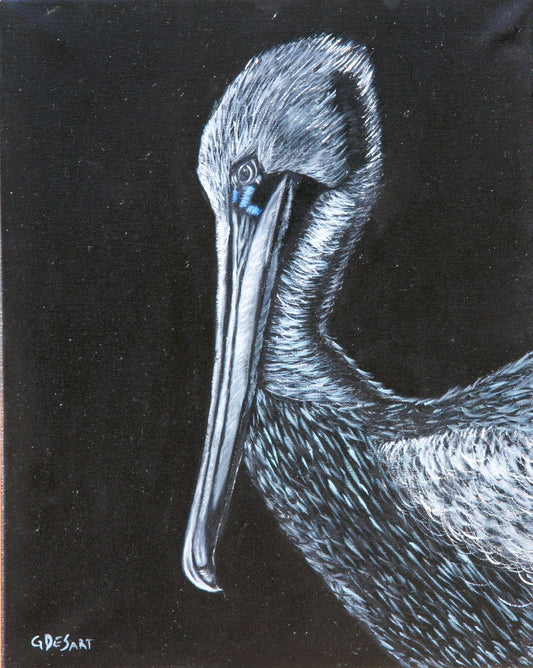 Priscilla the Pelican