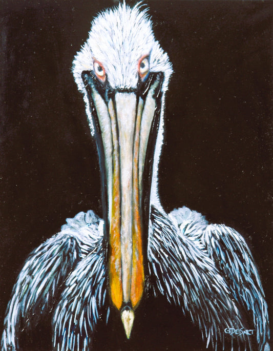 Pete the Pelican