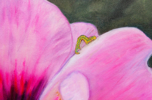 Pansies Buddy