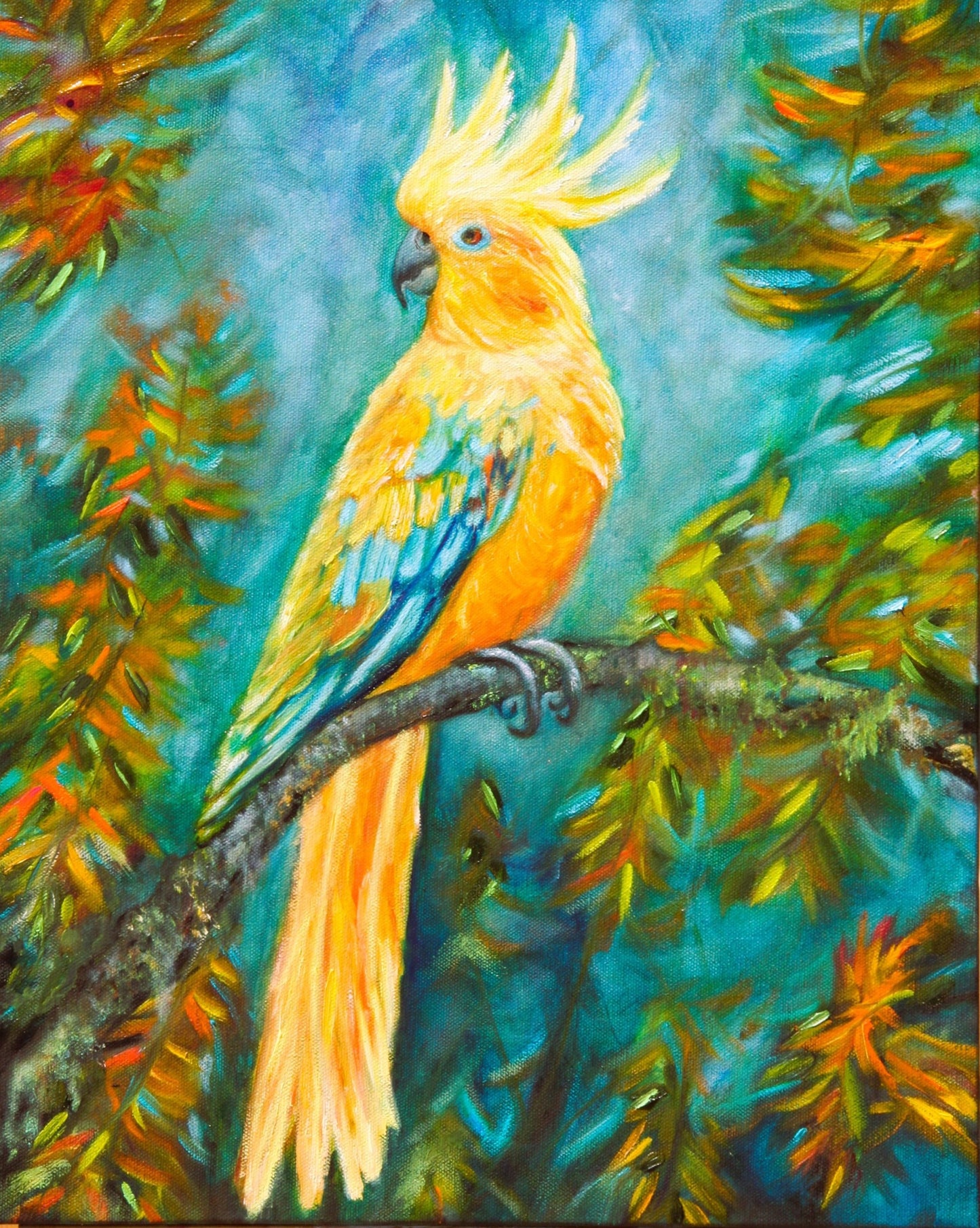 VIVID BIRD Series