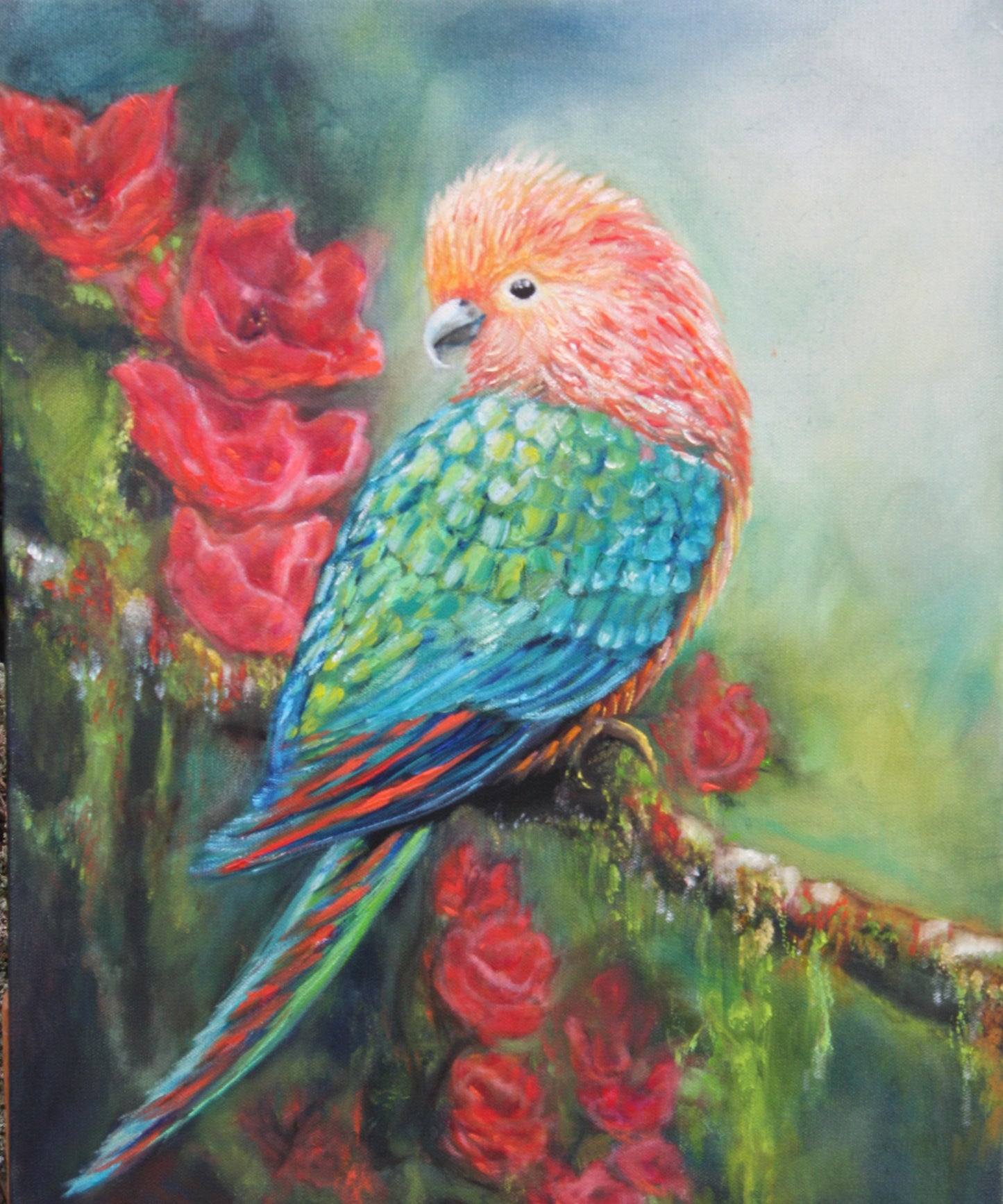 VIVID BIRD Series